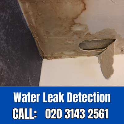 Expert Water Leak Detection Services in Clay Hill | Clay Hill Leak Detection